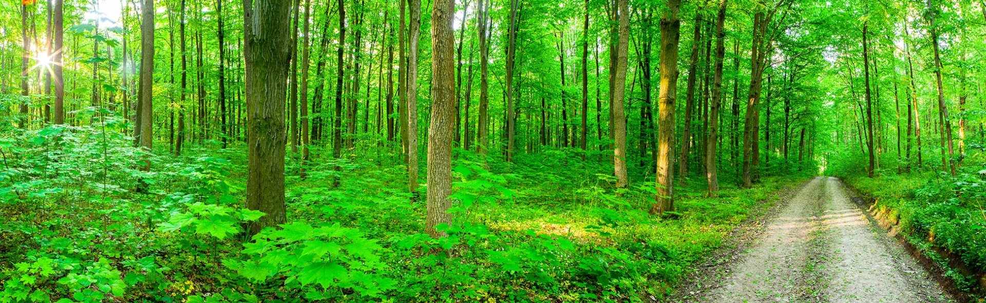 Life-coach-port-elizabeth Life-coach-port-elizabeth